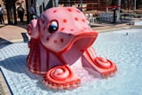 Octopus Slide